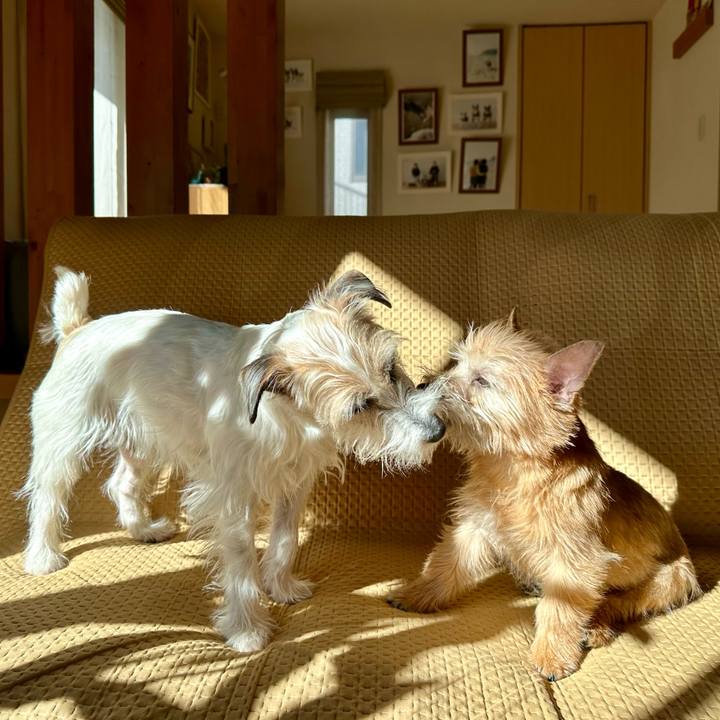 4d217c81 e7ed 49c2 b794 8a22d89d340e 1706541187793