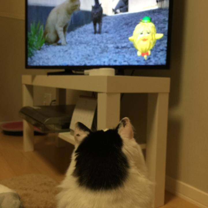 4d218c77 c181 46eb 96ba 52bb7c56717d 1510484192399