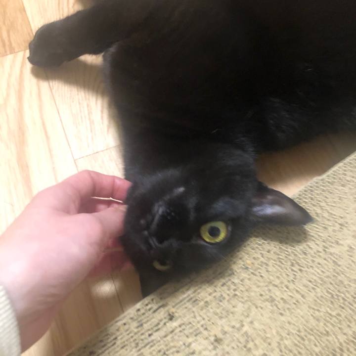 4d219d05 482c 48cf b6d0 c36acd851d93 1575547593907