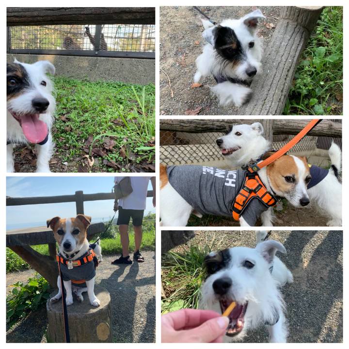 4d21b3e8 33fc 4b13 a01e 116665578419 1631343859046