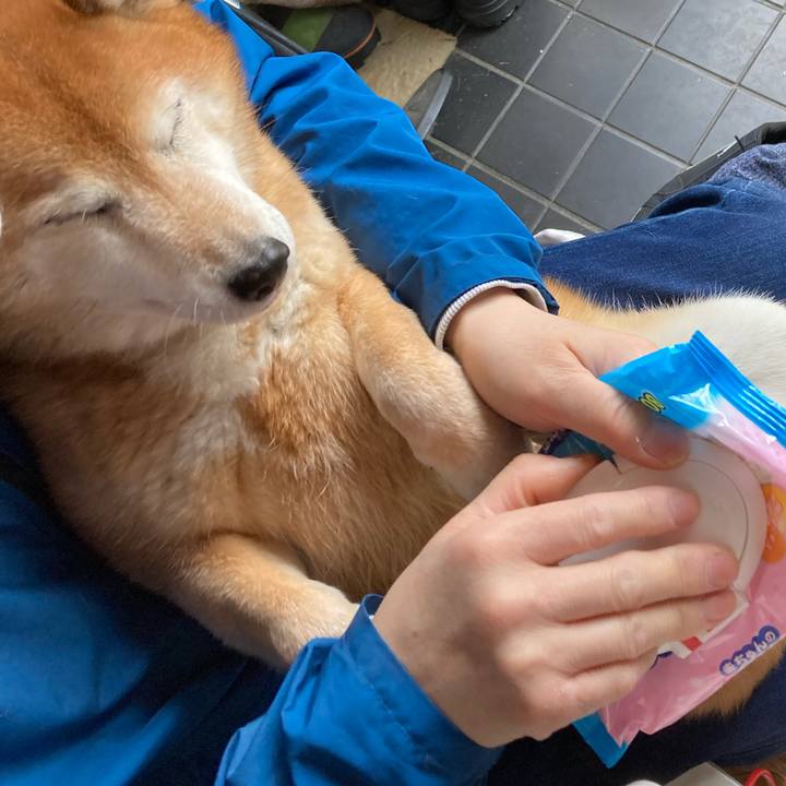 4d21ebd5 2ad2 4fa1 aff0 8660329b8074 1682916032192