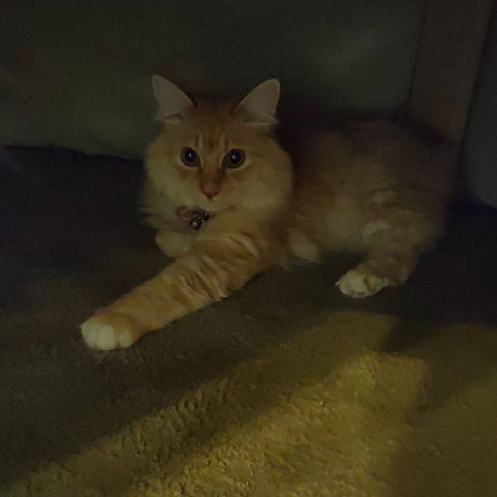 4d221c2e 761b 49fa 97d3 c400311fd6e3 1703801475855