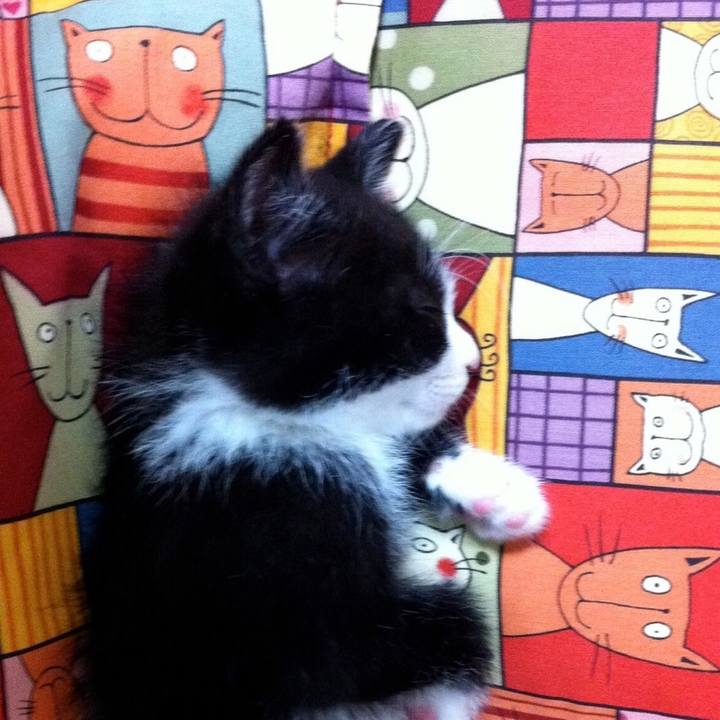 4d228769 a532 45c6 a8ff d6781d07ec56 1557331941850