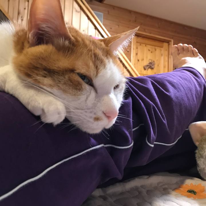 4d22adef 6564 4754 be9e a062dac4bab4 1553435031088