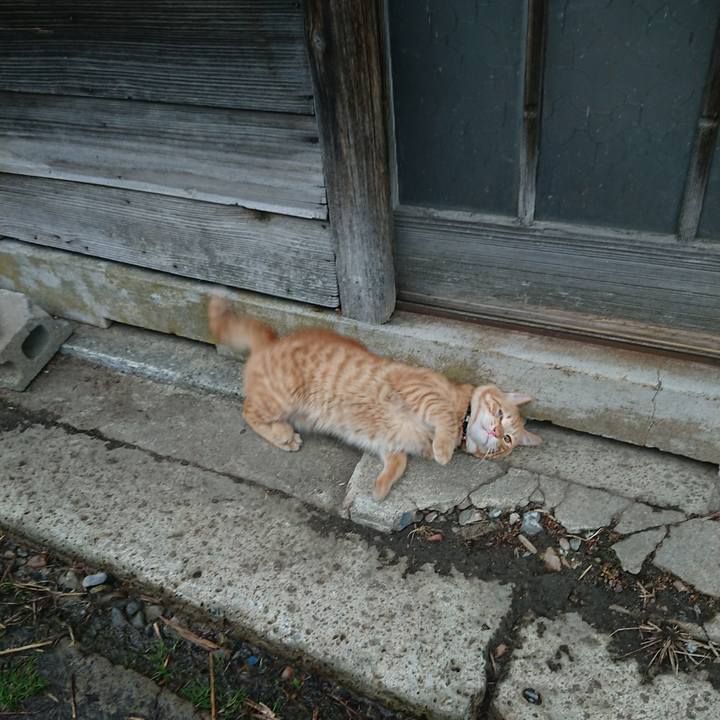 4d22bb9f 8ce5 4914 ba56 9747e1a85ec1 1648715801115