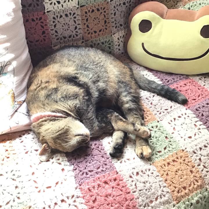 4d22bbb7 3d97 4695 b11d 7c78826044de 1722852870471