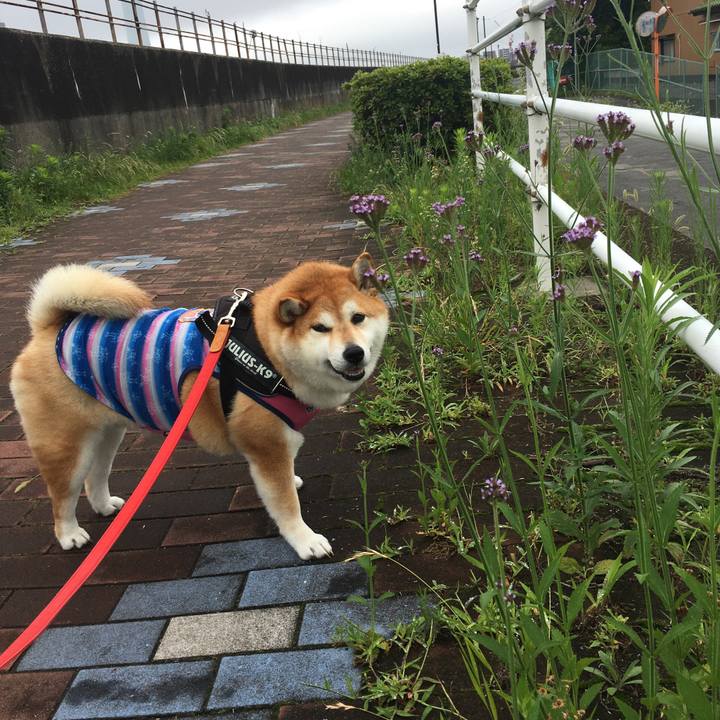 4d22c9b9 c79a 4d32 97a0 5360936ecf82 1594855119336