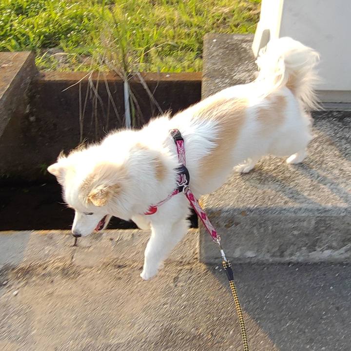 4d22d277 8c16 4eda b4d6 c098cc6a0fca 1655679328874