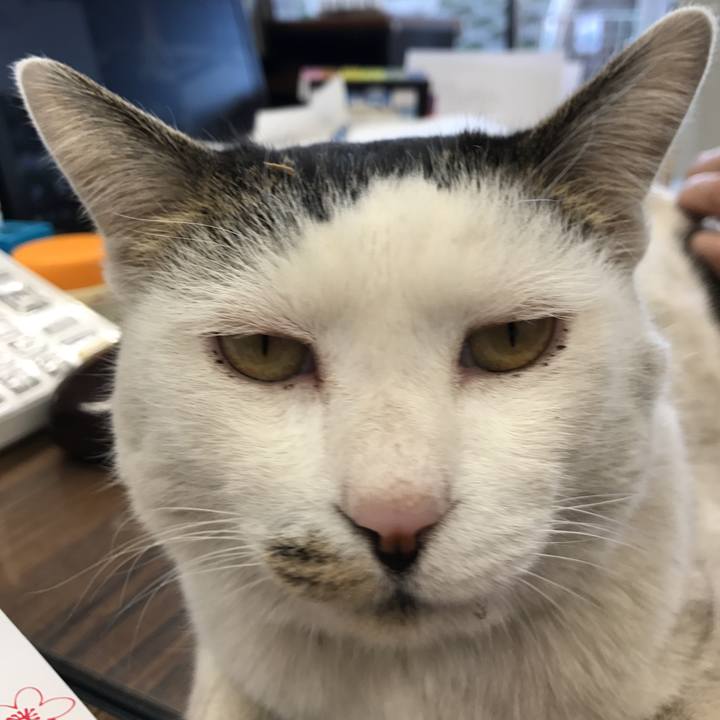 4d22d6df 8b96 4b83 9f40 2a84252441a0 1517980766862