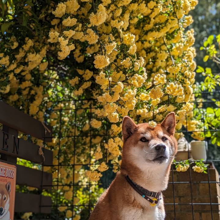 4d232a77 56df 42bf b980 c597b8091263 1714033600959