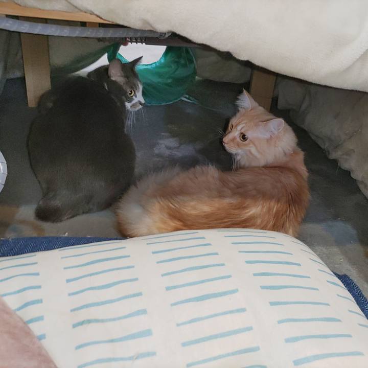 4d2346d8 7002 4a41 af8c b5f996f4be2c 1700084334924