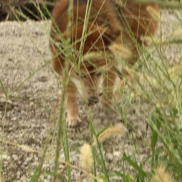 4d239b74 1ec8 4ea6 8a87 4640b5e54ef4 1600246287646