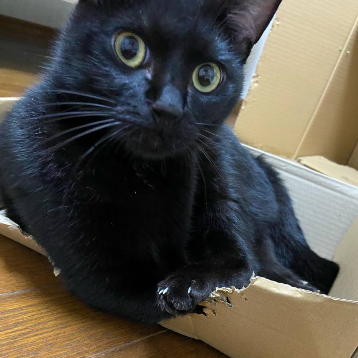 4d23c56f def9 45c5 9c5c 9ff1ef8b30f0 1632139163434