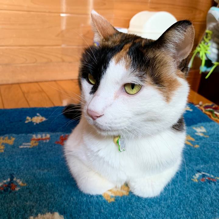 4d23e0ab 3ce2 484c b228 866212468f8e 1571120931050