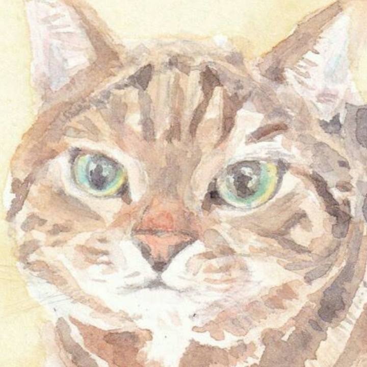 4d23f933 d9fb 41be 85e0 c592ea90d7ec 1546339333995