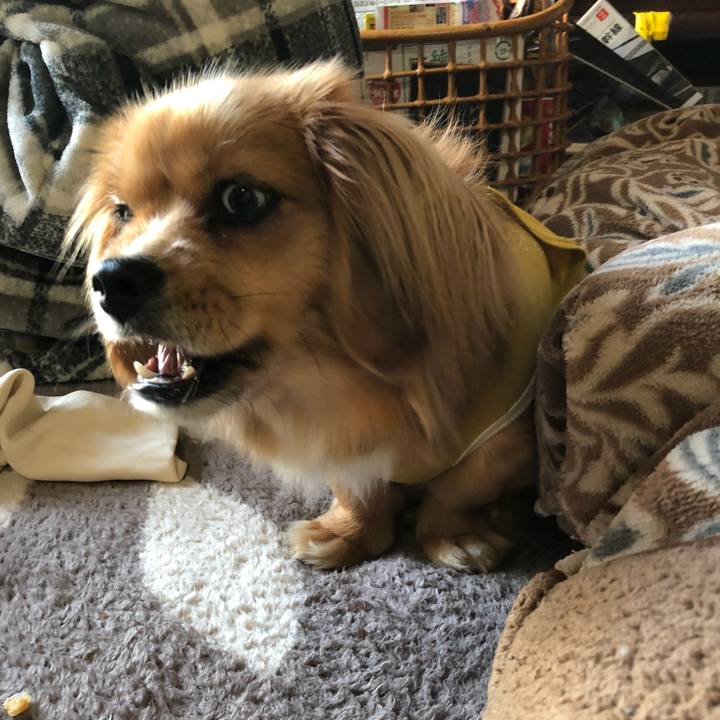 4d2433dc 772e 4978 a3ad 1a63d3b7c85f 1521843782397