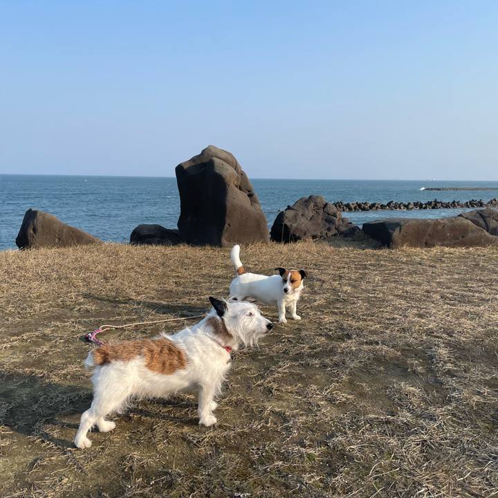 4d24368d fdad 40c4 a526 39d8336f9817 1742598697563