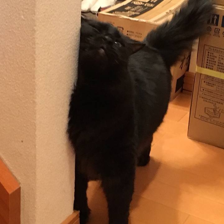 4d2452e6 56da 4192 aa33 84f585863650 1533558546267