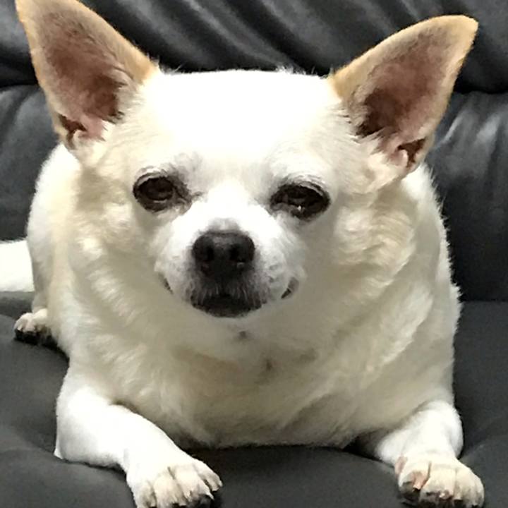 4d247f0c 2031 4056 93c6 abb943d57997 1567385882964