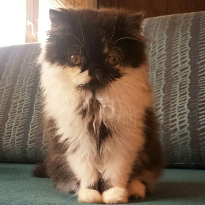 4d24948c b340 47a6 8f16 8efe498aeed8 1512564830227