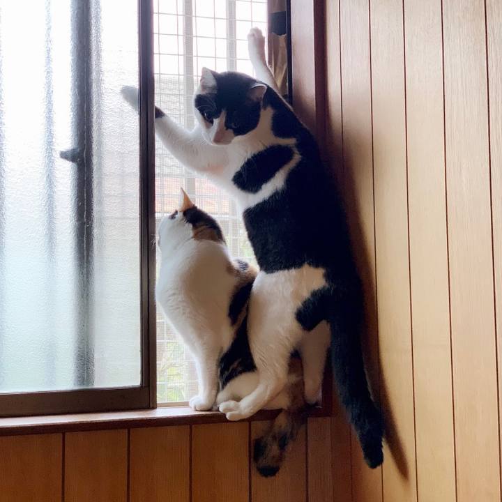 4d24992a 8de5 419c bf88 4820b4ed80b8 1554089906326