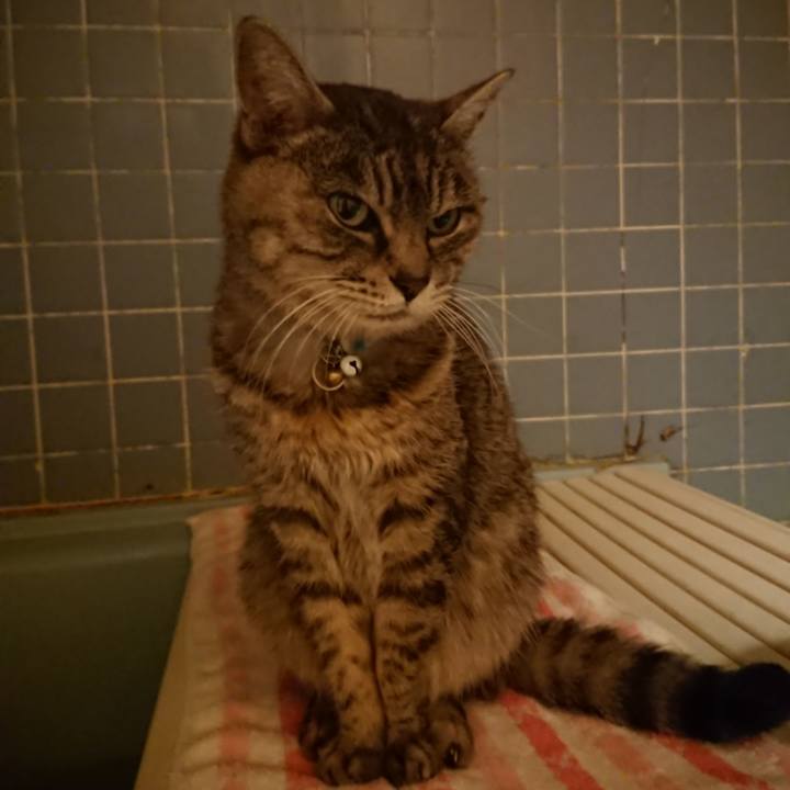 4d24b225 00c1 4258 93f2 70acd393283b 1577354124420