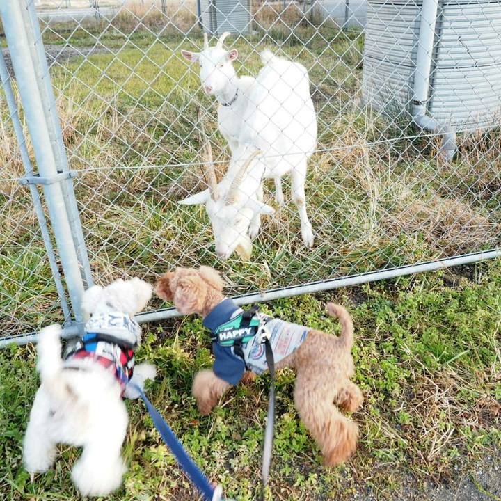 4d24d179 04dd 4981 896a 3a1aa9b57462 1515155315523