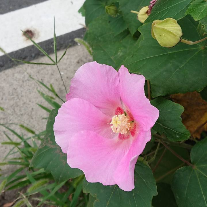 4d252549 fdfa 4119 8fba fa6be1b2cb29 1537749952457