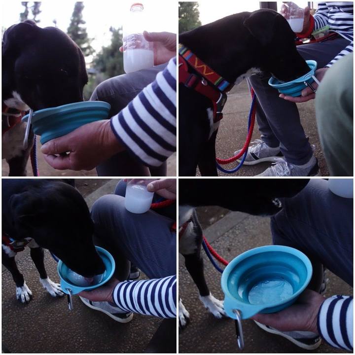 4d2544f0 bb0e 48e1 8972 aae48e247690 1588242635767