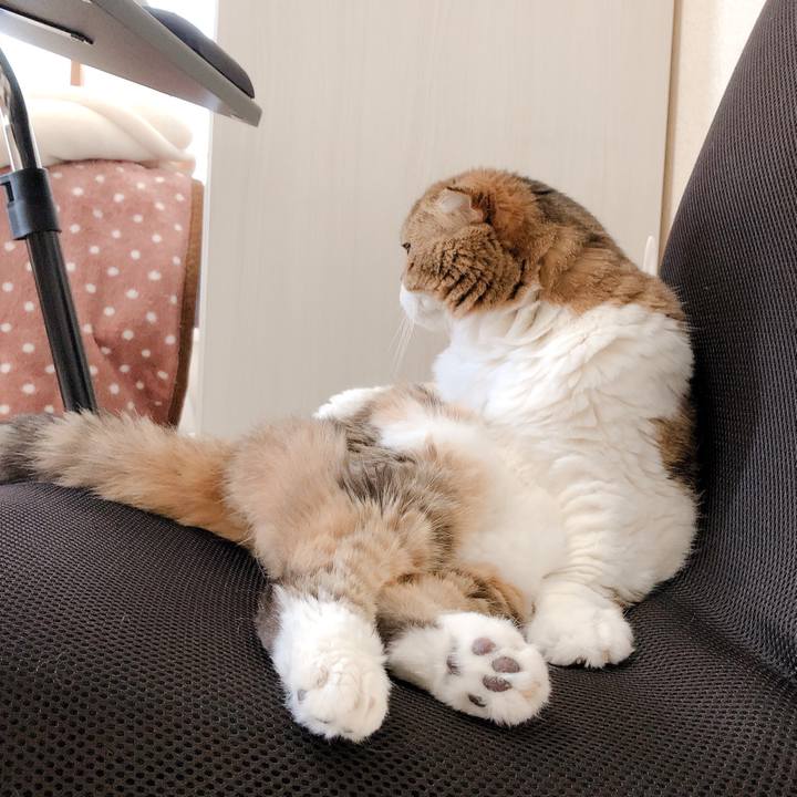 4d2570b5 fb2e 449f 9900 23e0c6220b9f 1605844833390