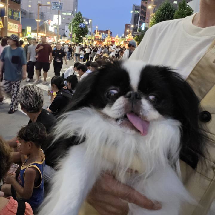 4d258c82 935d 4c2e 8902 f8a8b83697b0 1753098331676