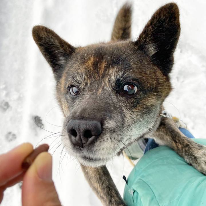 4d25affb f35f 434b abf7 d15d141c455f 1609717403767