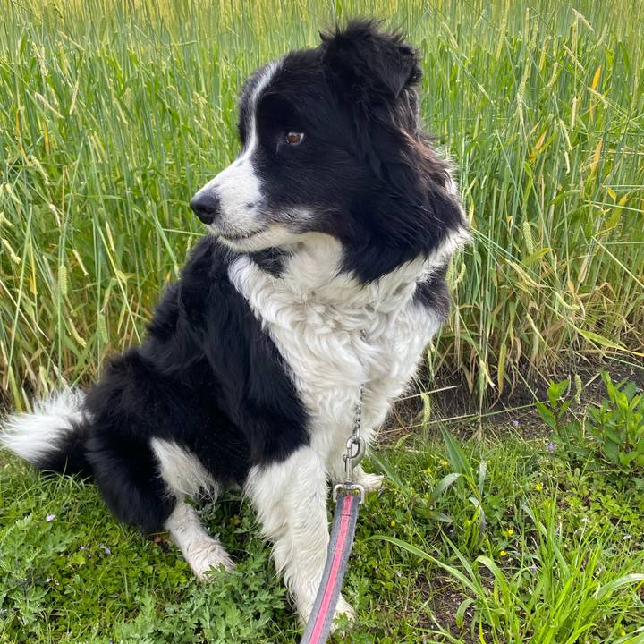 4d25b9c5 eb4a 40c3 97a7 2e19c1df26bc 1618357474405