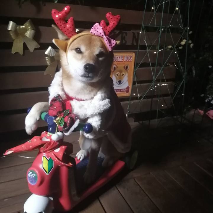 4d25e799 b688 4f7d 9c52 bf4f47fee48f 1639840612187