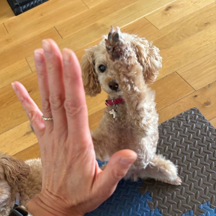 4d263550 644d 49cb 988a a990c523f2c7 1753008081259