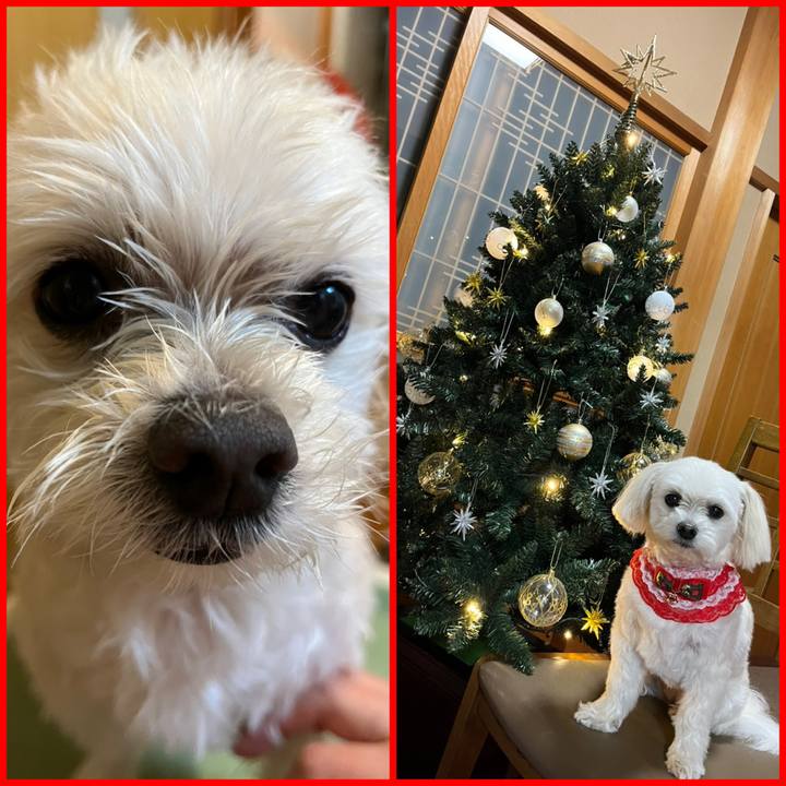 4d26eafb 9482 48ec 95e8 03da2dc675aa 1671870126775