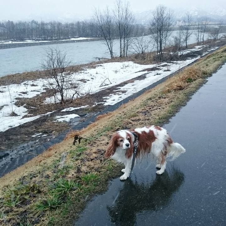 4d270f07 1aba 4bc7 a1a7 44c460d37071 1553292267499