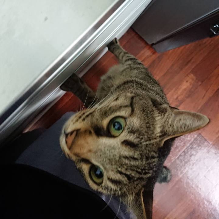 4d272f21 76e0 4898 b0e5 57f704627ec2 1532613943861