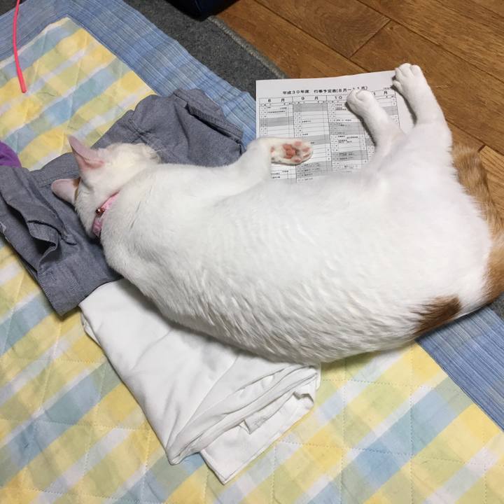 4d27786b 0da3 4564 8178 87c49e38cd47 1531920620670