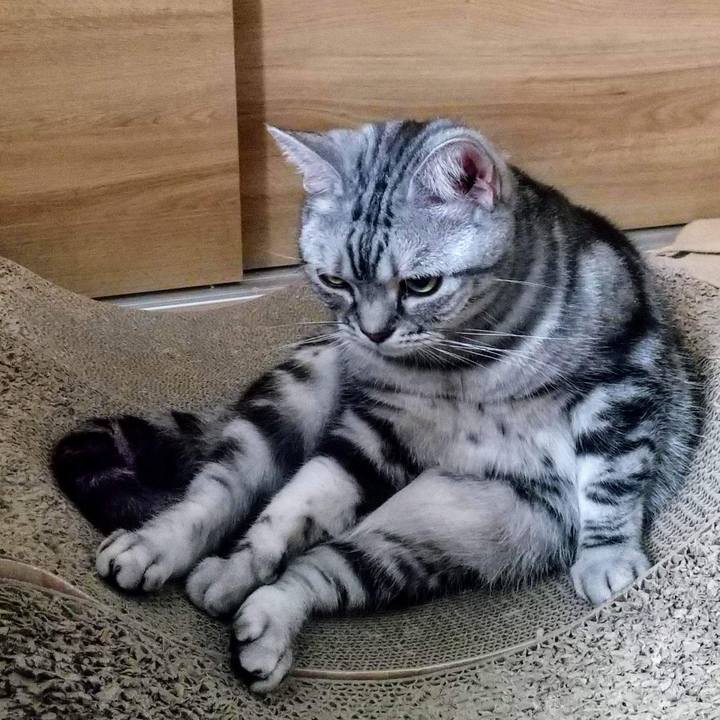 4d27788f 991c 4068 8b2b d524d8c3ac66 1720443261779