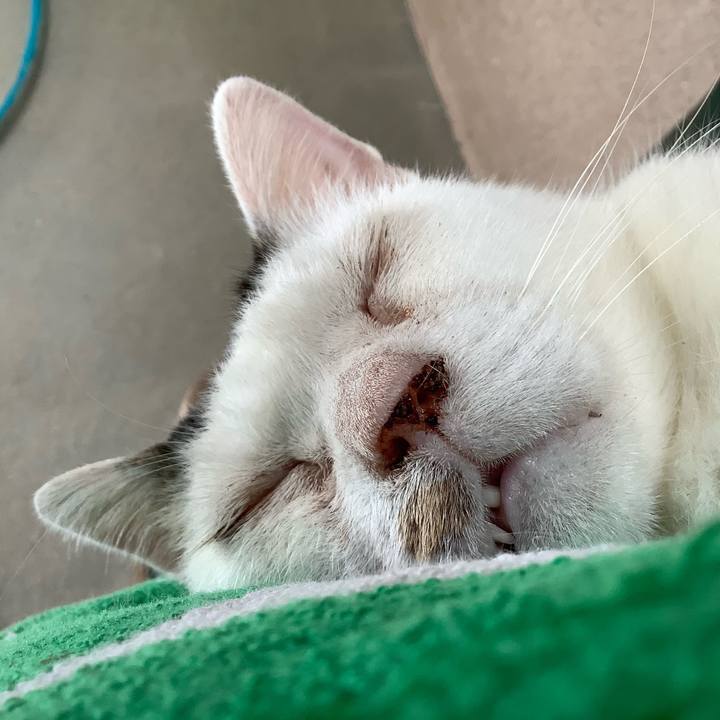 4d27797d fb1d 4e5a 9960 210dfae0418a 1596459600537