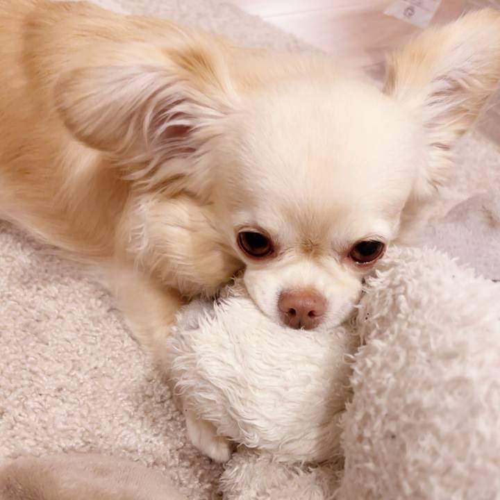 4d27a7fc 7c35 4d57 ab82 90d941521d0e 1748008980303