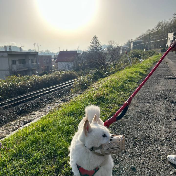 4d27bc65 431b 4d82 96b9 16e56669dc1f 1714079905961