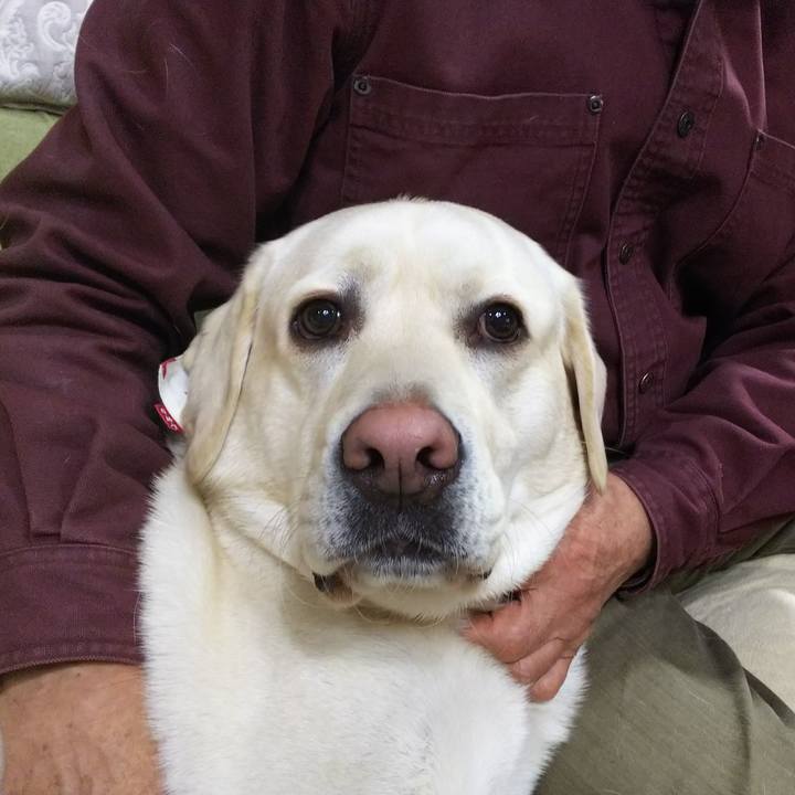 4d27d98e 490a 4b61 addc d8acb0c4ce32 1517137365985