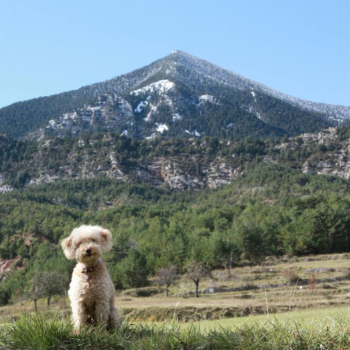 4d27f087 c905 4199 bbd1 f0c420bcfe9b 1541363674553