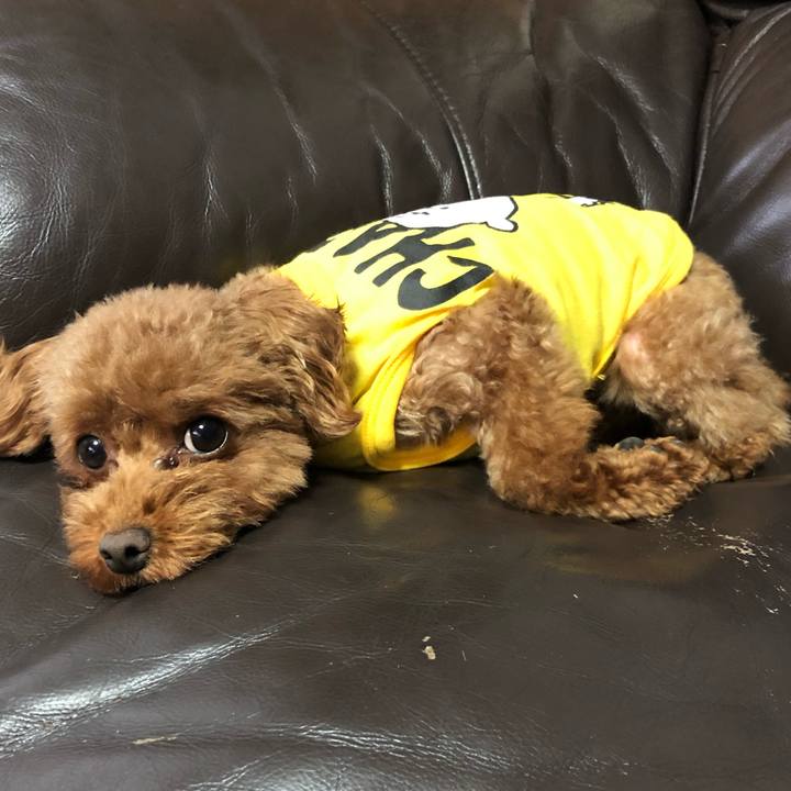 4d280133 8e89 40e7 b7d2 12d78a940474 1563171306210