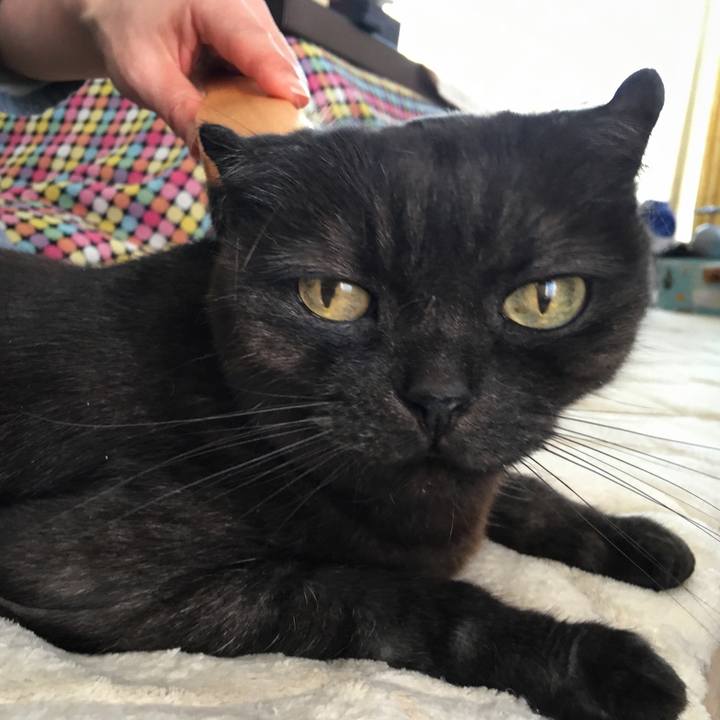 4d28ae6a 3b50 41b3 aab6 a55ff34d4716 1524975801923