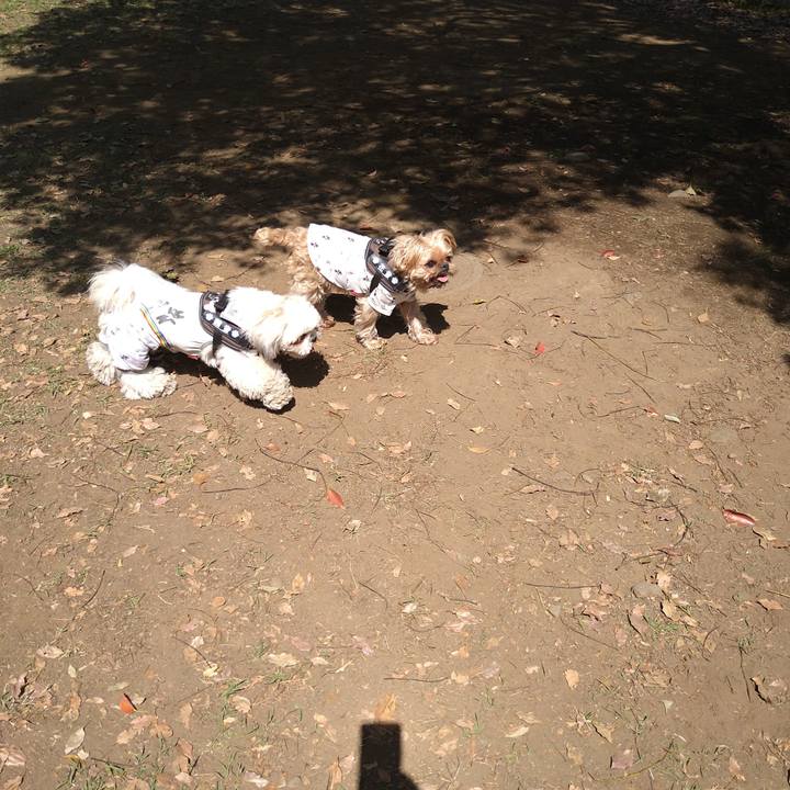 4d28b5d0 4228 419e 9ba4 388a6ebf795f 1618494114456