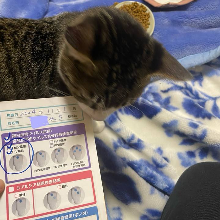 4d28c309 d92e 4f9f 8ee6 9449c77d25d2 1730448065957