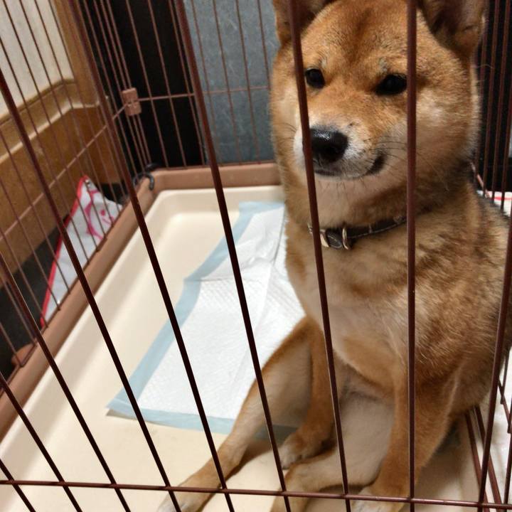 4d28e420 599c 4d3d b94d ee995fbfd07d 1518945968299